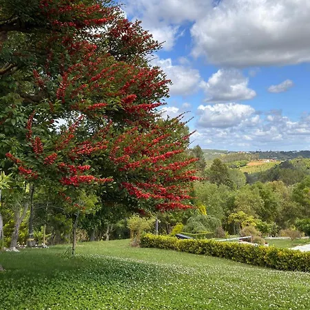 בית נופש Casa Floravista
