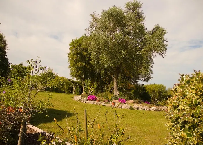 Casa Floravista Hébergement de vacances *