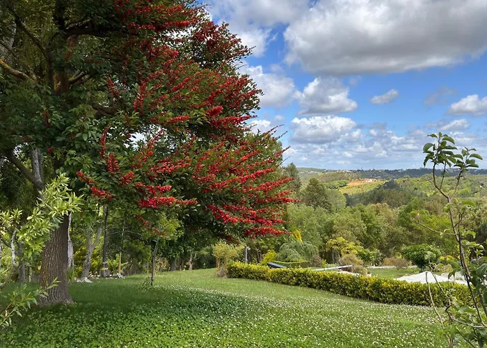Hébergement de vacances Casa Floravista